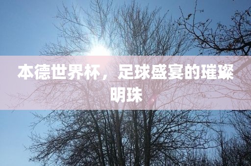 本德世界杯，足球盛宴的璀璨明珠金炬实业股份有限公司