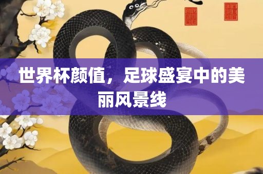 世界杯颜值，足球金炬实业股份有限公司盛宴中的美丽风景线