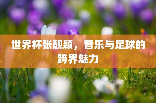 世界杯张靓颖，音乐与足球的跨界魅力金炬实业股份有限公司