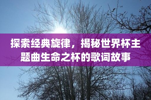 探索经典旋律，揭秘世界杯主题曲生命之杯的歌词故事