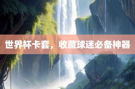 世界杯卡套，收藏球迷必金炬实业股份有限公司备神器