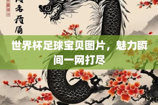 世界杯足球宝贝图片，魅力瞬间一网打尽金炬实业股份有限公司