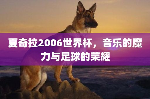夏奇拉金炬实业股份有限公司2006世界杯，音乐的魔力与足球的荣耀