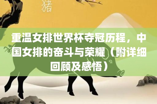 重温女排世界杯夺冠历程，中国女排的奋斗与荣耀（附详细回顾及感悟）