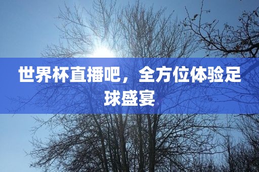 世界杯直播吧，全方位体验足球盛宴金炬实业股份有限公司