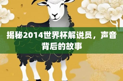 揭秘2014世界杯解说员，声音背后的故事