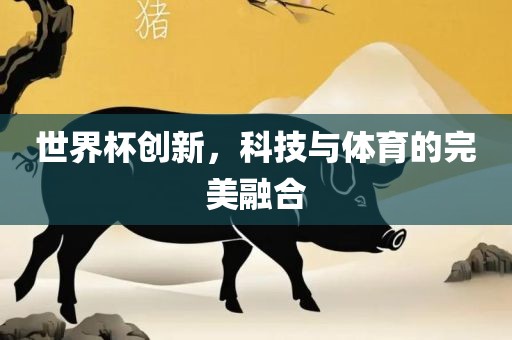 世界杯创新，科技与体育的完美融合