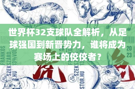 世界杯32支球队全解析，从足球强国到新晋势力，谁将成为赛场上的佼佼者？