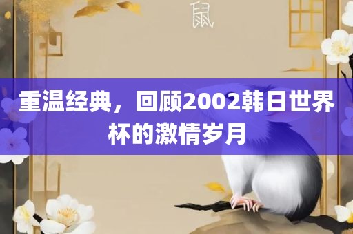 重温经典，回顾2002韩日世界杯的激情岁月金炬实业股份有限公司