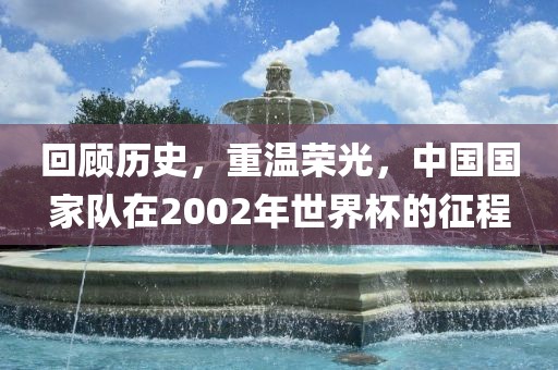 回顾历史，重温荣光，中国国家队在2002年世界杯的征程金炬实业股份有限公司