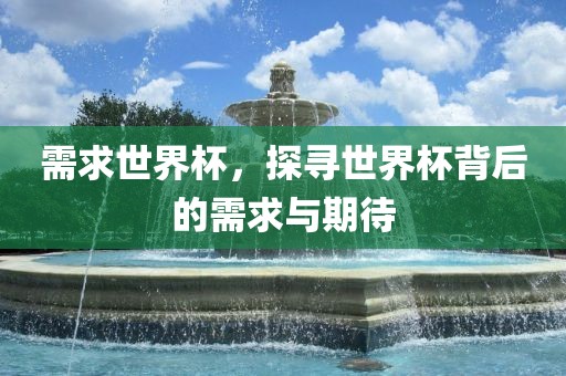 需求世界杯，探寻世界杯背后的需求与期待金炬实业股份有限公司