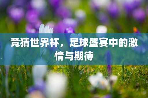 竞猜世界杯，足球盛宴中的激情与期待