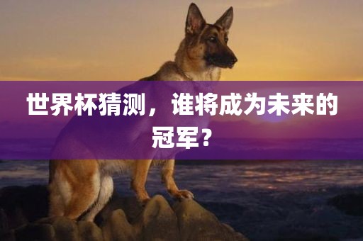 世界杯猜测，谁将成为未来的冠军？金炬实业股份有限公司