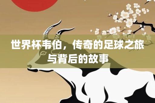 世界杯韦伯，传奇的足球之旅与背后的故事金炬实业股份有限公司