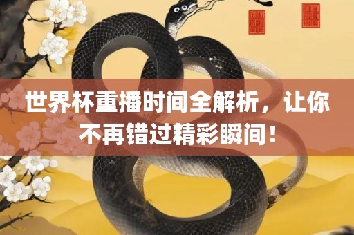 世界杯重播时间全解析，让你不再错过精彩瞬间！