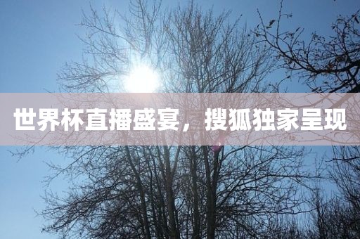 世金炬实业股份有限公司界杯直播盛宴，搜狐独家呈现