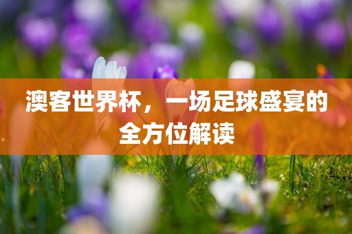 澳客世界杯，一场足球盛宴的全方位解读