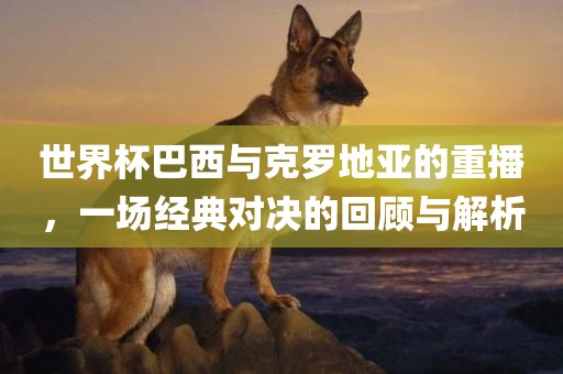 世界杯巴西与克罗地亚的重播，一场经典对决的回顾与解析金炬实业股份有限公司