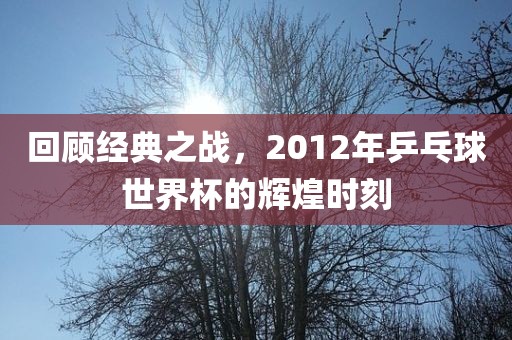 回顾经典之战，2012年乒乓球世界杯的辉煌时刻