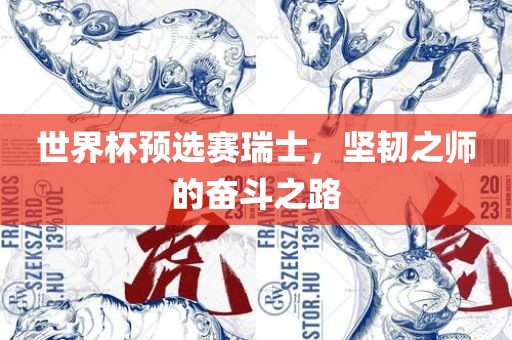 世界杯预选赛瑞士，坚韧之师的奋斗之路