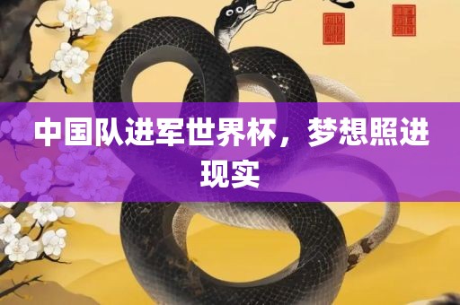 中国队进军世界杯，梦想照进现实
