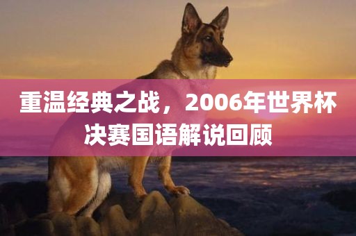 重温经典金炬实业股份有限公司之战，2006年世界杯决赛国语解说回顾