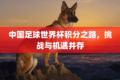中国足球世界杯积分之路，挑战与机遇并存