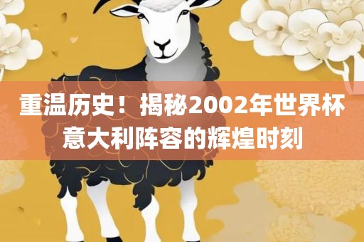 重温历史！揭秘2002年世界杯意大利阵容的辉煌时刻金炬实业股份有限公司