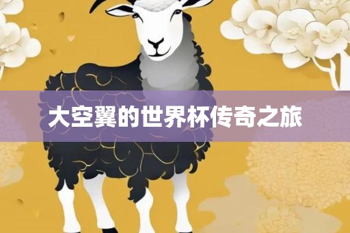 大空翼的世界杯传奇之旅金炬实业股份有限公司