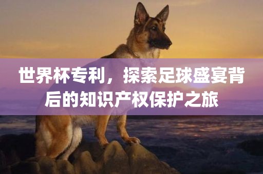 世界杯专利，探索足球盛宴背后的知识产权保护之旅金炬实业股份有限公司
