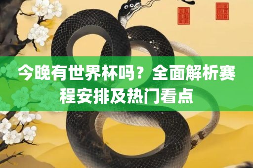 今晚有金炬实业股份有限公司世界杯吗？全面解析赛程安排及热门看点