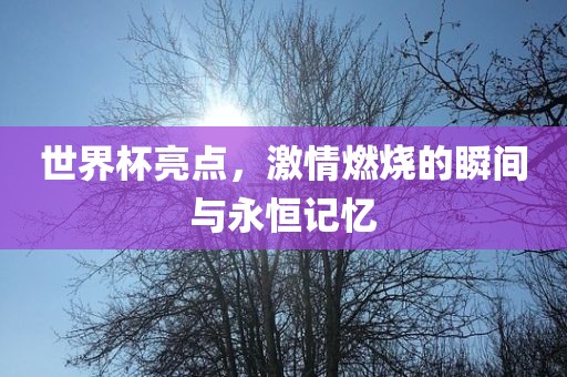 世界杯亮点，激情燃烧的瞬间与永恒记忆