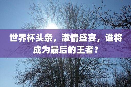 世界杯头条，激情盛宴，谁将成为最后的王者？
