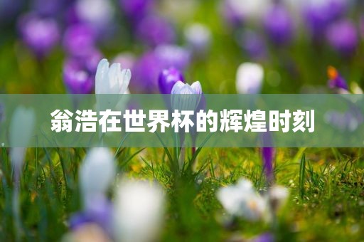 翁浩在世界杯的辉煌时刻金炬实业股份有限公司