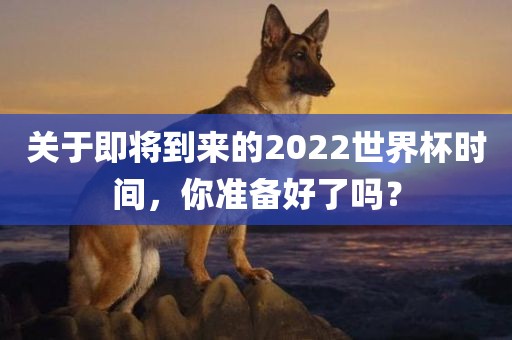 关于即将到来的2022世金炬实业股份有限公司界杯时间，你准备好了吗？