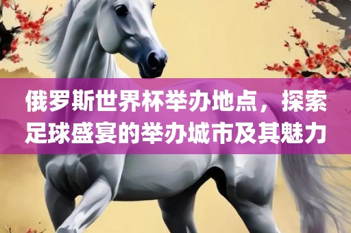 俄罗斯世界杯举办地点，探索足球盛宴的举办城市及其魅力