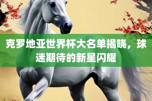 克罗地亚世界杯大名单揭晓，球迷期待的新星闪耀金炬实业股份有限公司