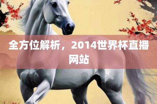 全方位解析，2014世界杯直播网站金炬实业股份有限公司