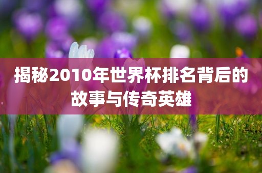 揭秘2010年世界杯排名背后的故事与传奇英雄金炬实业股份有限公司