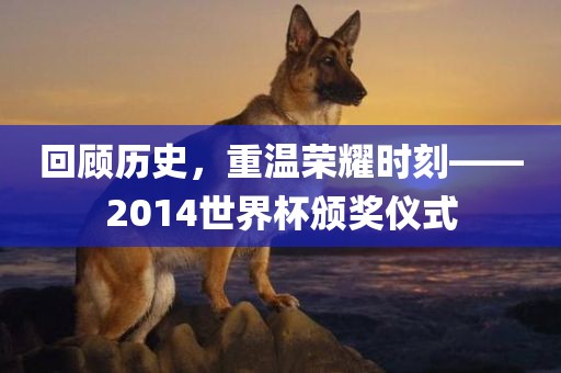 回顾历史，重温荣耀时刻——2014世界杯颁奖仪式