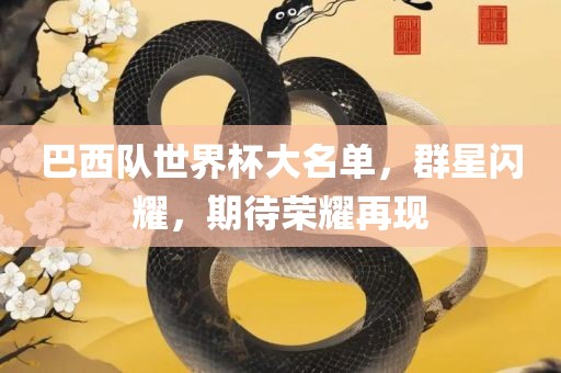 巴西队世界杯大名单，群星闪耀，期待荣耀再现