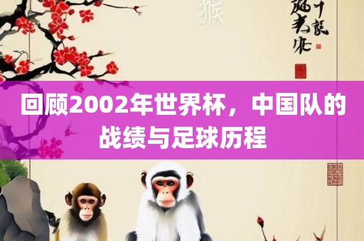 回顾2002年世界杯，中国队的战绩与足球历程
