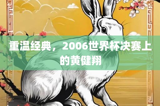 重温经典金炬实业股份有限公司，2006世界杯决赛上的黄健翔