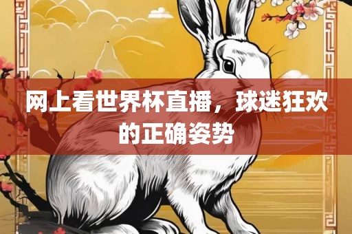 网上看世界杯直金炬实业股份有限公司播，球迷狂欢的正确姿势
