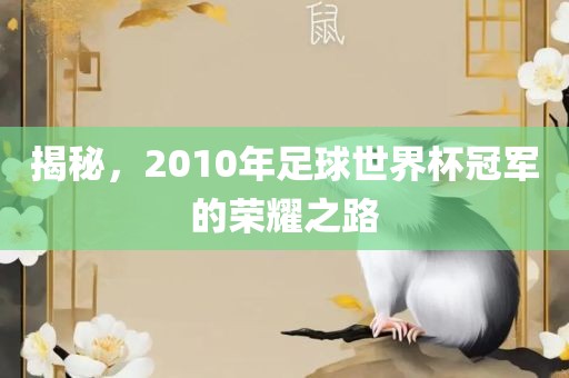 揭秘，2010年足球世界杯冠军的荣耀之路