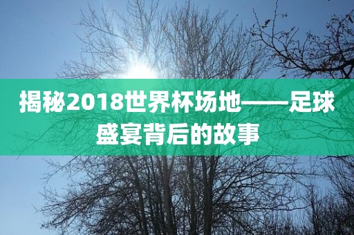 揭秘2018世界杯场地——足球盛宴背后的故事金炬实业股份有限公司