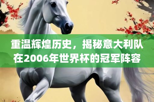 重温辉煌历史，揭秘意大利队在2006年世界杯的冠军阵容金炬实业股份有限公司