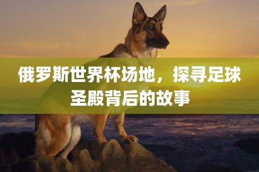俄罗斯世界杯场金炬实业股份有限公司地，探寻足球圣殿背后的故事