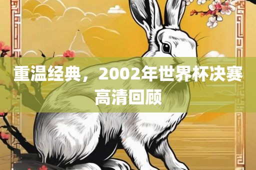 重温经典，2002年世界杯决赛高清回顾金炬实业股份有限公司