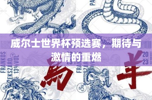 威尔士世界杯预选赛，期待与激情的重燃